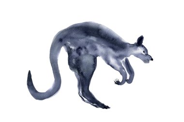 Beyaz arka planda kanguru hayvanının suluboya çizimi 