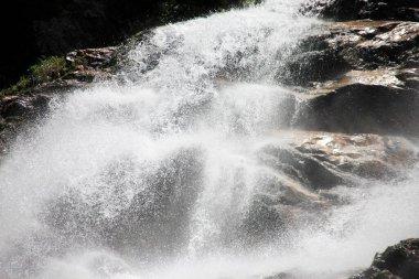 Ormandaki güzel şelale manzarası