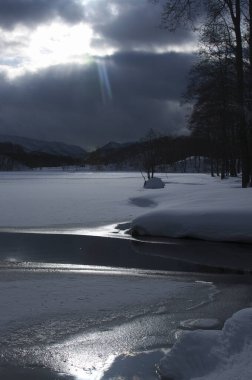 Donmuş Göl ve Kış Ormanı