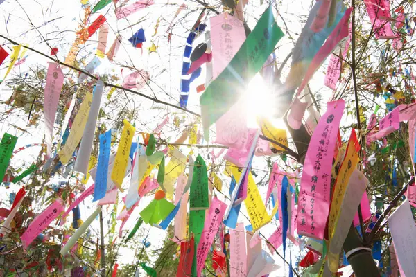 Décorations Souhaits Sur Des Bandes Papier Suspendues Pendant Tanabata Festival — Photo