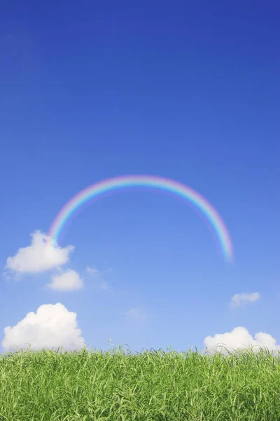 blue sky with rainbow and white clouds over green grass