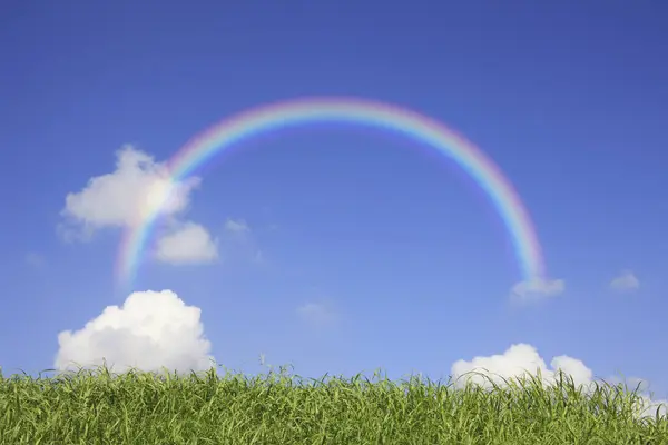 Cielo Azul Con Arco Iris Nubes Blancas Sobre Hierba Verde —  Fotos de Stock