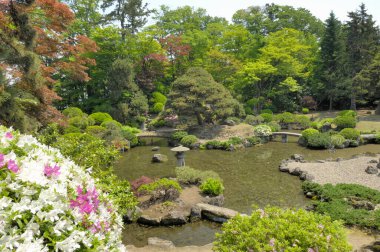 Yeşil bitkileri ve göleti olan geleneksel Japon bahçesi 