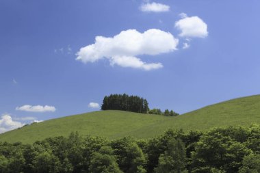 Yeşil tarla ve beyaz bulutlu mavi gökyüzü