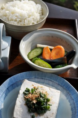 Sebzeli soya peyniri ve tepside pirinç.