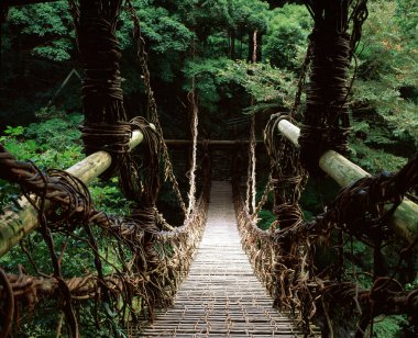 Tahta süspansiyon köprüsü yemyeşil orman yapraklarını geçiyor.