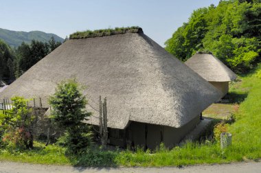 Geleneksel sazdan çatı evleri yemyeşil ağaçlarla çevrili.