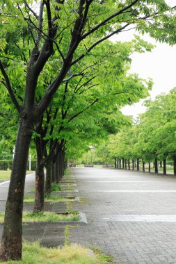 Japonya 'daki güzel park.