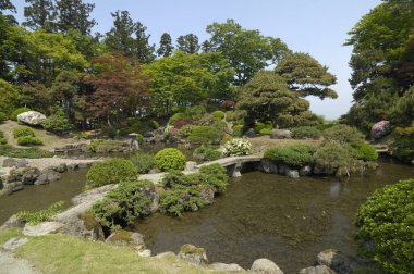 Yeşil bitkileri ve göleti olan geleneksel Japon bahçesi 