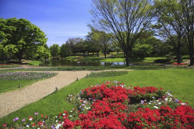 Lale çiçekleriyle güzel bir bahar bahçesi 