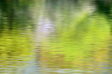 Suyun yansımalı soyut yeşil arkaplanı