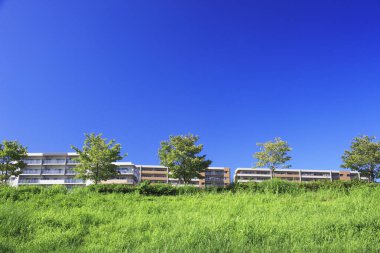 Apartman manzarası ve yeşil park. Mavi gökyüzüne karşı taze çimenler ve ağaçlar.