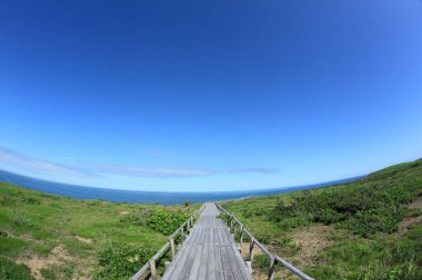 Boş ahşap geçit ve güneşli bir günde mavi gökyüzü olan yeşil çayır.    