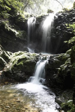 Ormanda güzel bir şelale