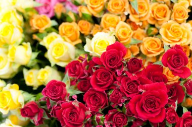 Güzel çiçeklere yakın, parlak güllere