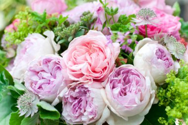 Güzel çiçeklere yakın, parlak güllere