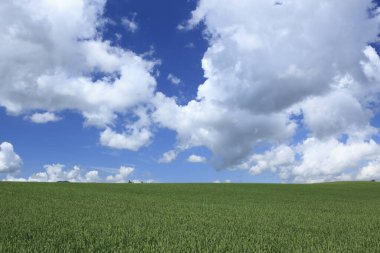 mavi bulutlu gökyüzü arkaplanı.