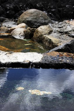 Ormandaki güzel nehir manzarası