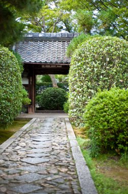 Yeşil ağaçlı Japon geleneksel bahçesi.