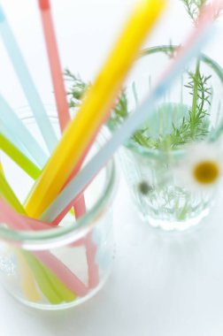 Güzel papatya çiçeklerinin yakın plan görüntüsü ve pipet içmek, yakın plan.