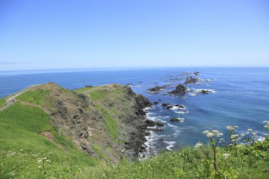 Deniz kıyısının güzel manzarası, doğa ve seyahat konsepti    