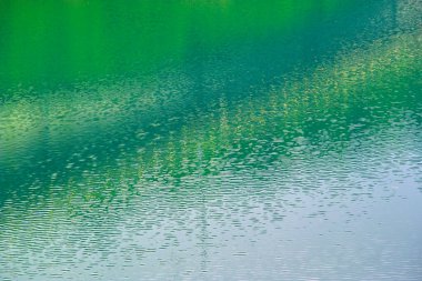 Yazın güzel yeşil göl