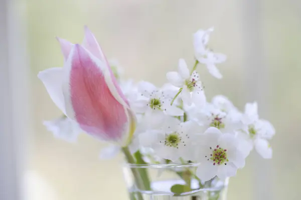 beautiful pink flowers on background, closeup. spring season, floral design
