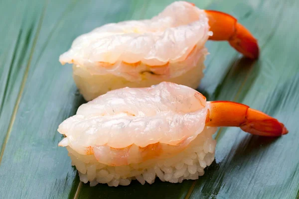 Schmackhaftes Japanisches Sushi Hintergrund Nahaufnahme — Stockfoto