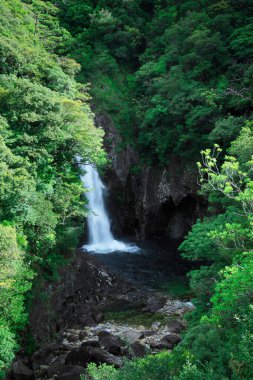 beautiful waterfall in rocky mountain forest