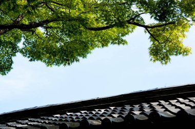 Geleneksel kiremitli çatının üzerinde asılı yeşil ağaç dalları