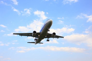 Yolcu uçağı gökyüzünde uçar.