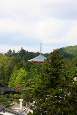 Tayland 'daki kutsal Buda tapınağı.