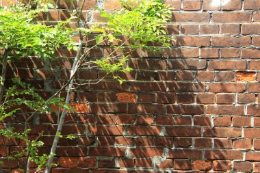 kırmızı tuğla duvar arkaplanı