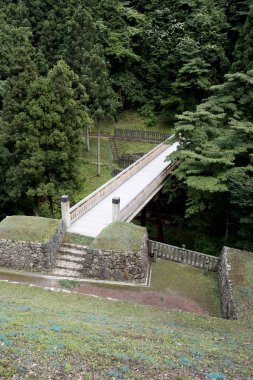 Beton köprü taştan adımlarla yemyeşil orman manzarasını geçiyor