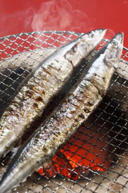 Kömürde ızgara Saury, kapat.