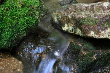 Doğanın arka planında güzel bir şelale
