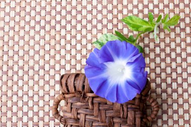 Mavi çiçekli hasır çanta.