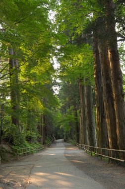 Yaz parkında gün batımında güzel bir manzara