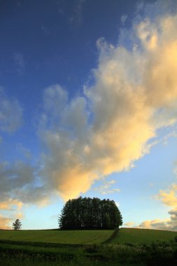 Tarlanın üzerinde güzel bir gün batımı