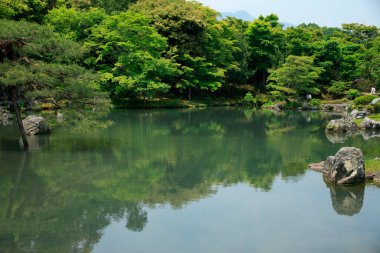 Yeşil ağaçlı ve bahçeli Japon göleti