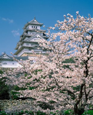 Japon Kokura Kalesi