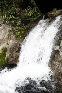Ormanda güzel bir şelale 