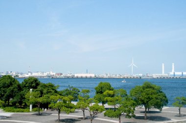 Sakin mavi deniz manzarasına bakan yeşil ağaçlar