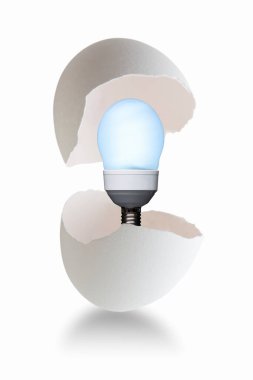 Beyaz arkaplanda yumurta kabuğundaki ampul izole edildi