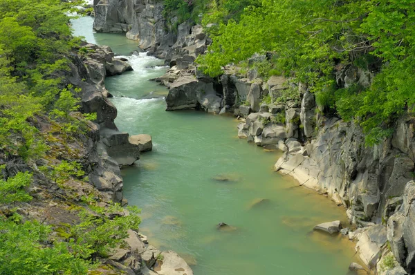 stock image beautiful view of rough river in mountains