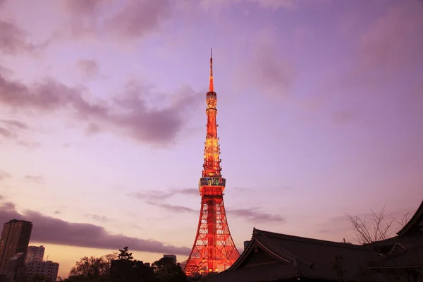 晚上背景在日本的东京塔楼 — 图库照片