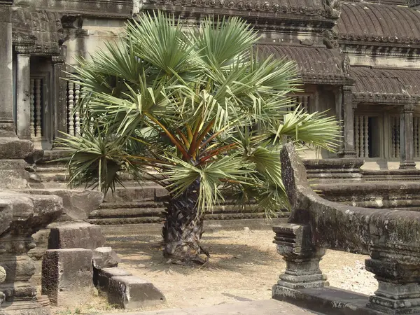 Ancient Khmer Architecture Angkor Wat Temple Cambodia Travel Destinations — Stock Photo, Image