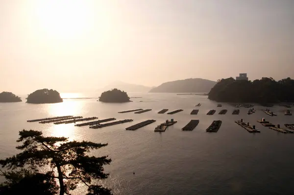 Hermosa Vista Bahía Toba Japón —  Fotos de Stock