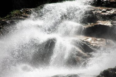 Ormandaki güzel şelale manzarası 