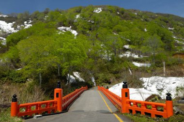 Yeşil dağdaki yol. 